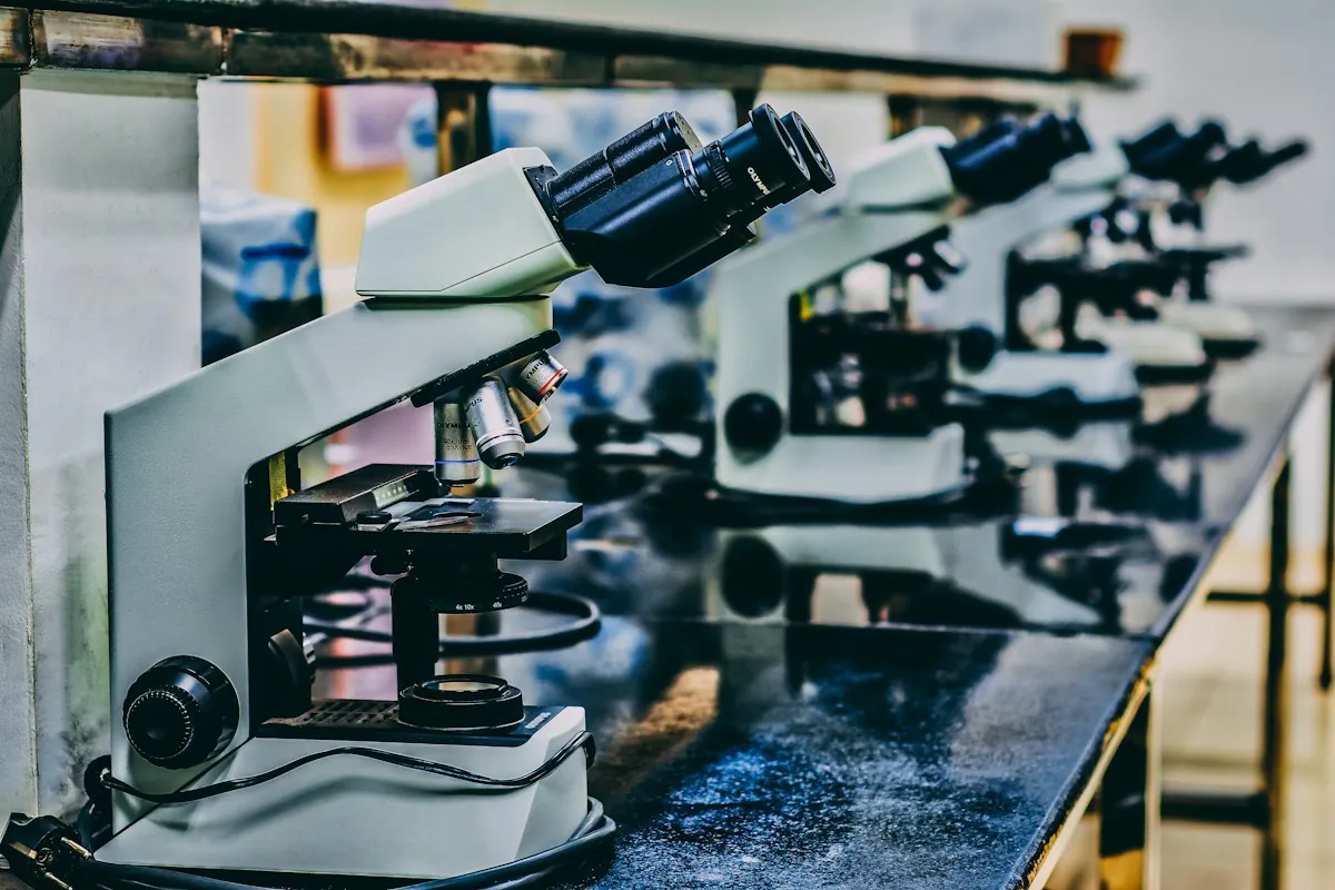 Row of binocular light microscopes on a laboratory bench